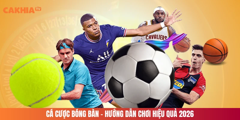 Cá Cược Bóng Bàn - Hướng Dẫn Chơi Hiệu Quả 2026