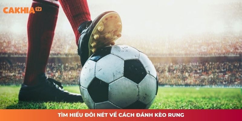 Tìm hiểu đôi nét về cách đánh kèo rung