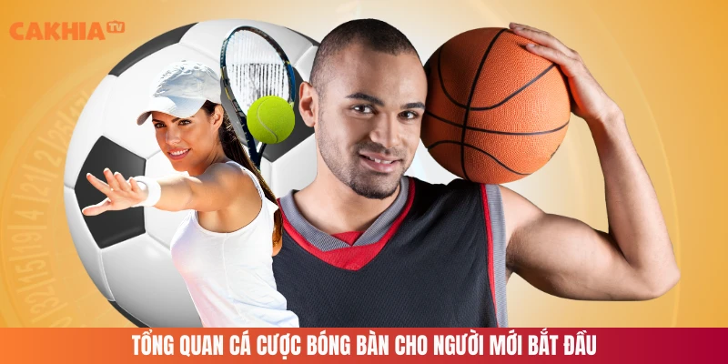 Tổng quan cá cược bóng bàn cho người mới bắt đầu