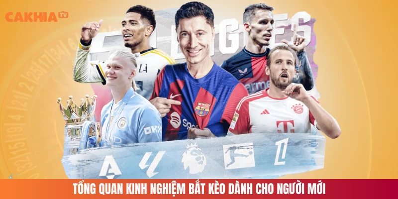 Tổng quan kinh nghiệm bắt kèo dành cho người mới